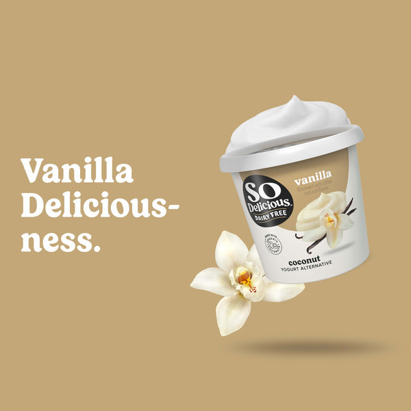 So Delicious Dairy Free Coconut Milk Vanilla Yogurt Alternative  DestGlow