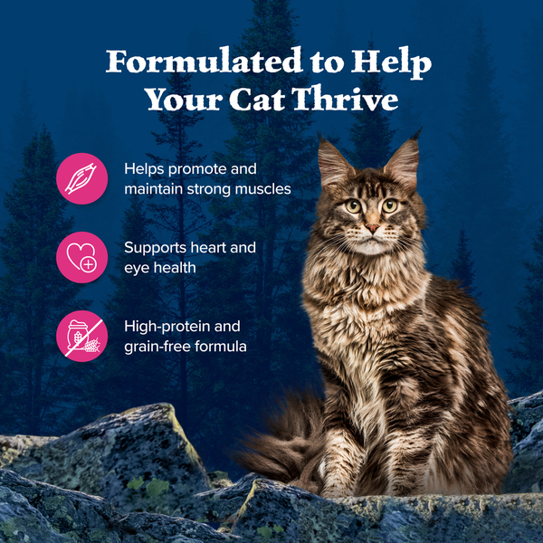 Blue Buffalo Wilderness Delights Meaty Wet Cat Food, Chicken &amp; Salmon in  Gravy