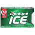 Dentyne Sugar Free Spearmint Gum  DestGlow