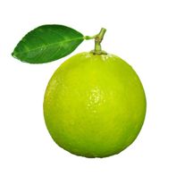 Key Lime️  DestGlow
