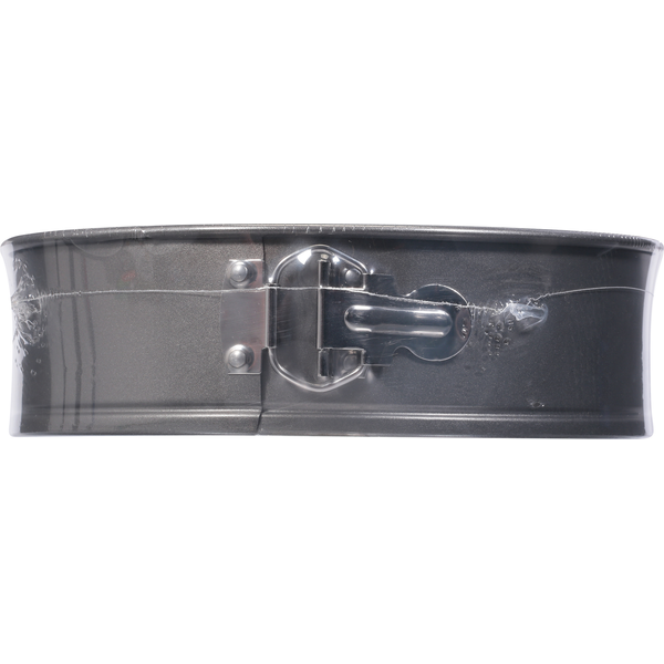 GoodCook Springform Pan, Nonstick, 9 In  DestGlow