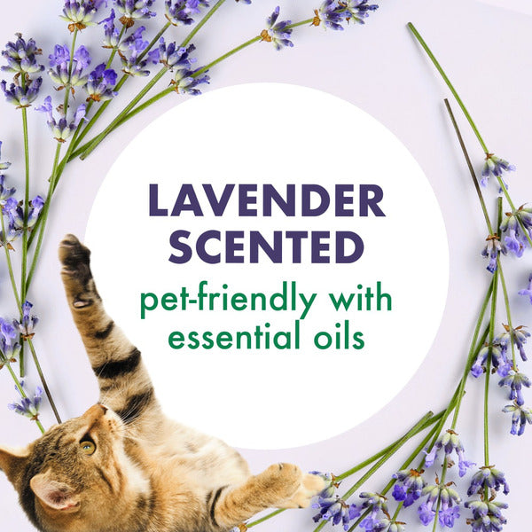 Arm &amp; Hammer Forever Fresh Cat Litter Deodorizer