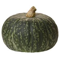 Organic Kabocha Squash️  DestGlow
