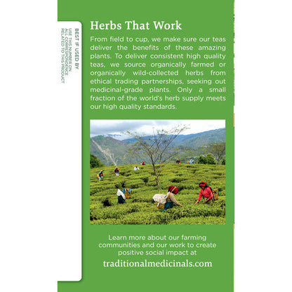 Traditional Medicinals Organic Green Tea Matcha with Toasted Rice, Caffeine Free Herbal Tea