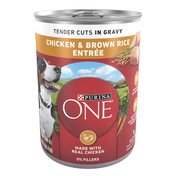 Purina ONE Tender Cuts in Wet Dog Food Gravy Chicken and Brown Rice Entree  DestGlow