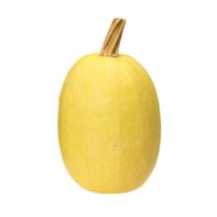Organic Spaghetti Squash️  DestGlow