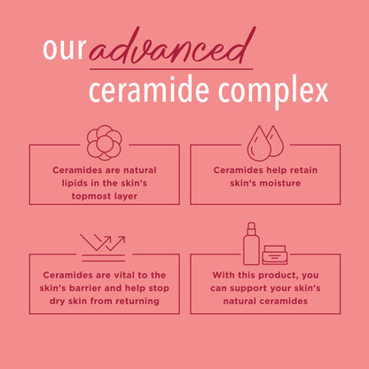 Curél Ultra Healing Hand and Body Lotion