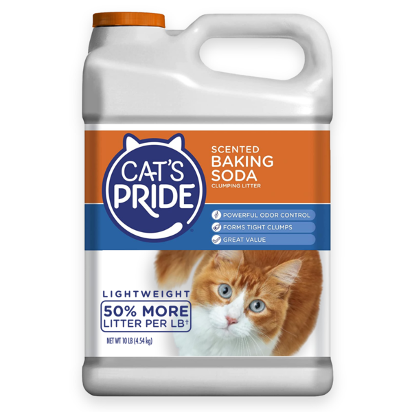 Cat&