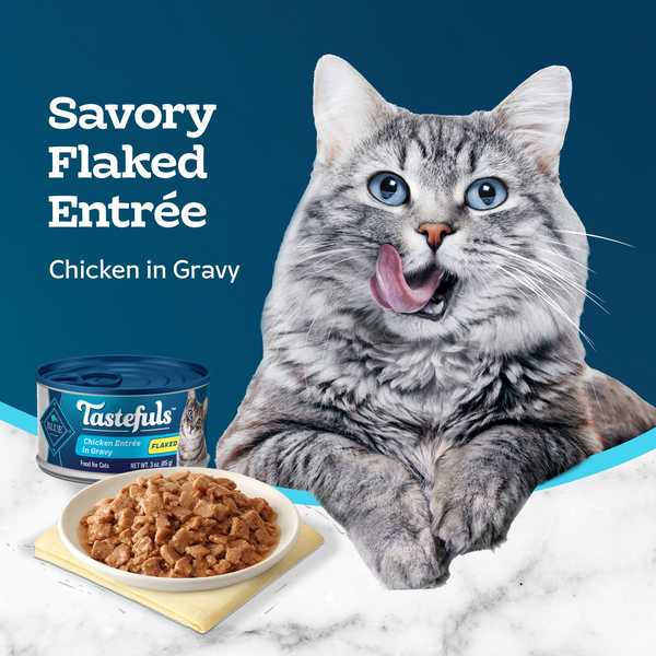 Blue Buffalo Tastefuls Natural Wet Food for Adult Cats, Flaked Chicken Entrée in Gravy