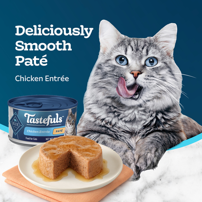 Blue Buffalo Tastefuls Natural Wet Food for Adult Cats, Flaked Chicken Paté  DestGlow