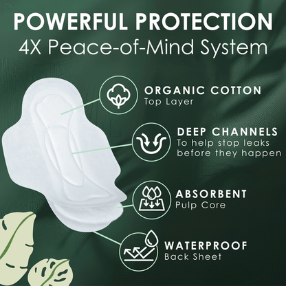 L. Thin Pads with Wings, Overnight  DestGlow