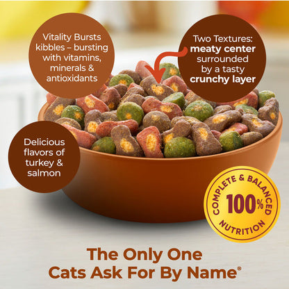 Meow Mix Tender Centers Dry Cat Food With Vitality Bursts Salmon &amp; Turkey Flavors