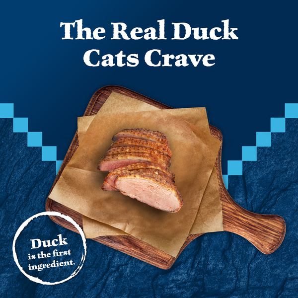 Blue Buffalo Wilderness High Protein Grain Free, Natural Adult Pate Wet Cat Food, Duck