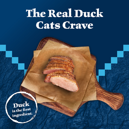 Blue Buffalo Wilderness High Protein Grain Free, Natural Adult Pate Wet Cat Food, Duck