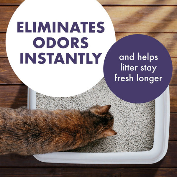 Arm &amp; Hammer Forever Fresh Cat Litter Deodorizer