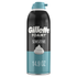 Gillette Foamy Sensitive Shave Foam For Men, Sensitive Skin  DestGlow