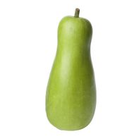 Opo Squash️  DestGlow