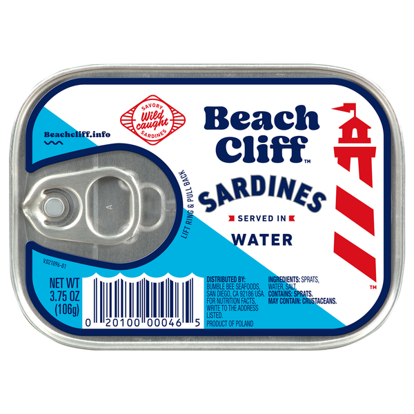 Beach Cliff Sardines in Water  DestGlow