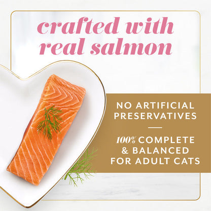 Fancy Feast Gems Pate Cat Food Mousse With Salmon and a Halo of Savory Gravy Cat Food  DestGlow
