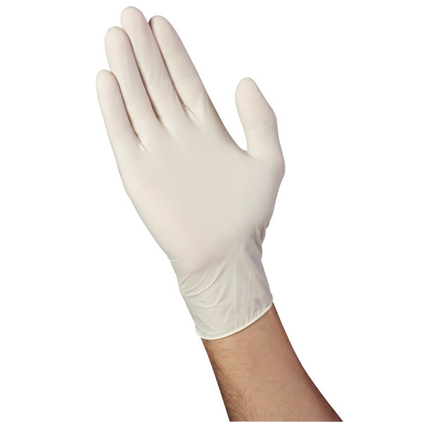 Mr. Clean Latex Disposable Gloves  DestGlow