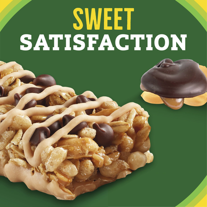 Nature Valley Turtle Sweet and Salty Nut Granola Bars  DestGlow