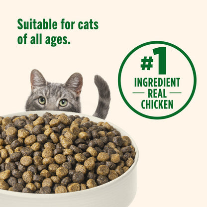 Rachael Ray Nutrish Real Chicken &amp; Brown Rice Recipe Dry Cat Food, 6 lb Bag