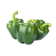 Organic Green Bell Pepper️  DestGlow