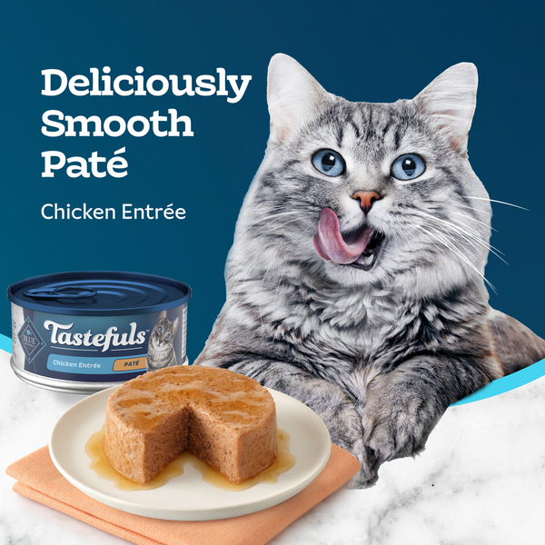 Blue Buffalo Tastefuls Natural Wet Food for Adult Cats, Flaked Chicken Paté