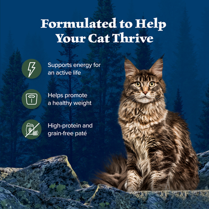 Blue Buffalo Wilderness High Protein Grain Free, Natural Adult Pate Wet Cat Food, Duck