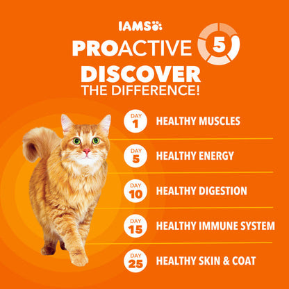 IAMS PROACTIVE HEALTH Adult Healthy Dry Cat Food with Salmon Cat Kibble, 16 lb. Bag  DestGlow