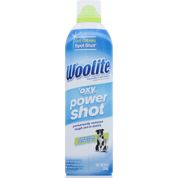 Woolite Carpet Spot &amp; Stain Remover  DestGlow