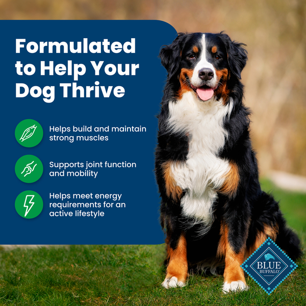 Blue Buffalo Life Protection Formula Natural Adult Dry Dog Food, Lamb and Brown Rice