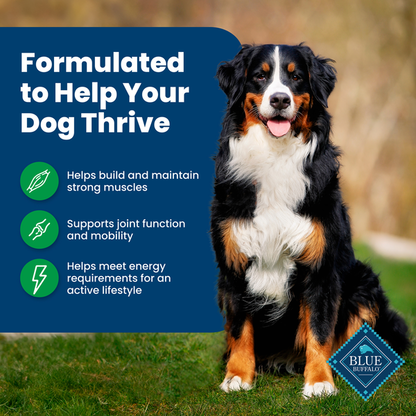Blue Buffalo Life Protection Formula Natural Adult Dry Dog Food, Lamb and Brown Rice