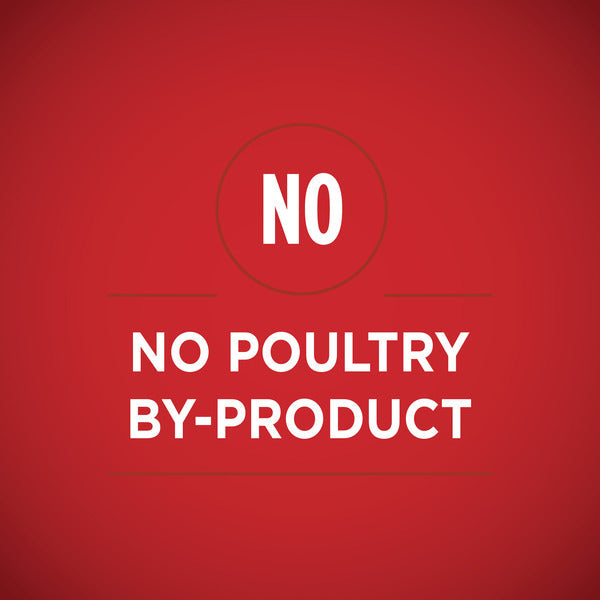 Purina ONE Weight Management, Natural Wet Dog Food, SmartBlend Healthy Weight Tender Cuts Lamb &amp; Brown Rice  DestGlow
