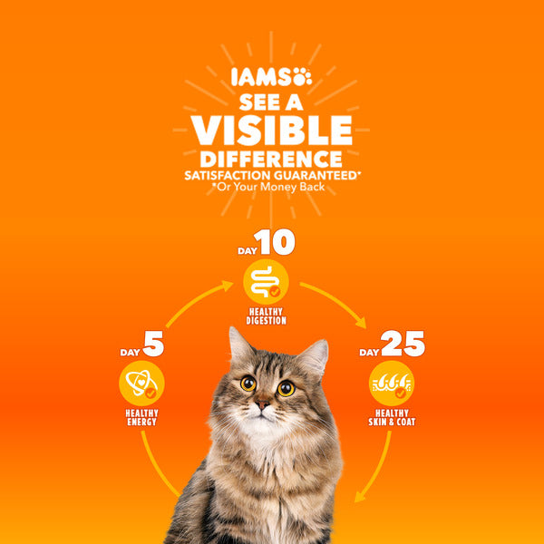 IAMS PROACTIVE HEALTH Healthy Senior Dry Cat Food with Chicken Cat Kibble, 3.5 lb. Bag  DestGlow