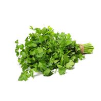 Plain Parsley️  DestGlow