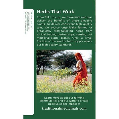 Traditional Medicinals Organic Ginger Caffeine Free Herbal Tea