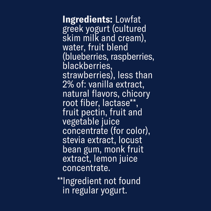 Chobani Zero Added Sugar Mixed Berry Vanilla Yogurt Protein Drink