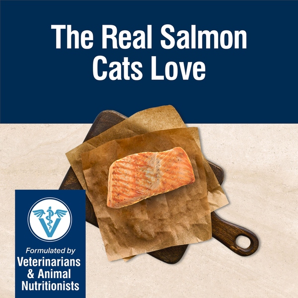 Blue Buffalo True Solutions Perfect Skin &amp; Coat Natural Adult Dry Cat Food, Salmon