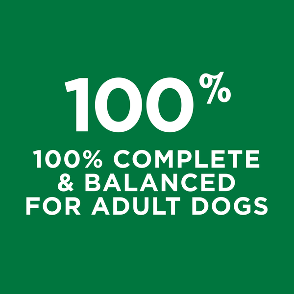 Purina Dog Chow Dry Dog Food, Complete Adult With Real Chicken