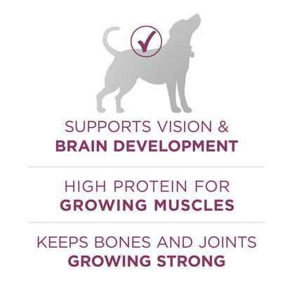 Purina ONE Natural, High Protein Dry Puppy Food, +Plus Healthy Puppy Formula