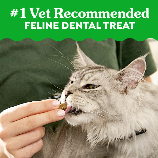 GREENIES Feline Dental Cat Treats, Catnip Flavor Tub  DestGlow