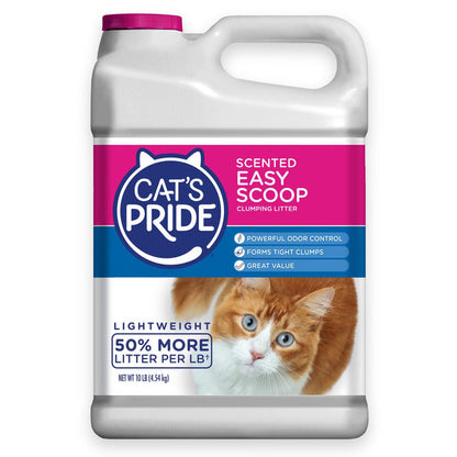 Cat&