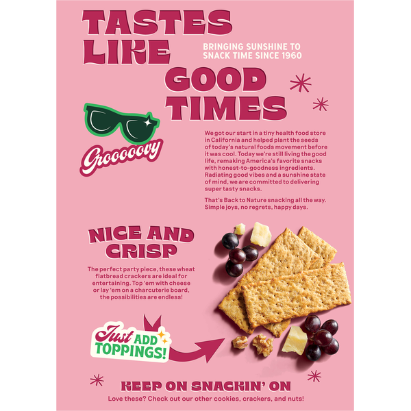 Back to Nature Pink Himalayan Salt Flatbread Crackers  DestGlow