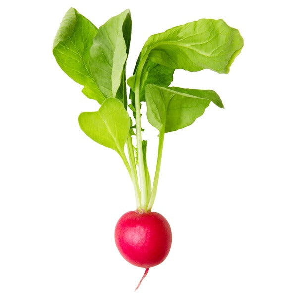 Organic Radish  DestGlow