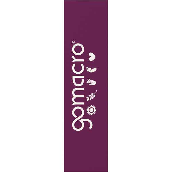 GoMacro Peanut Butter Chocolate Chip Mini MacroBar  DestGlow