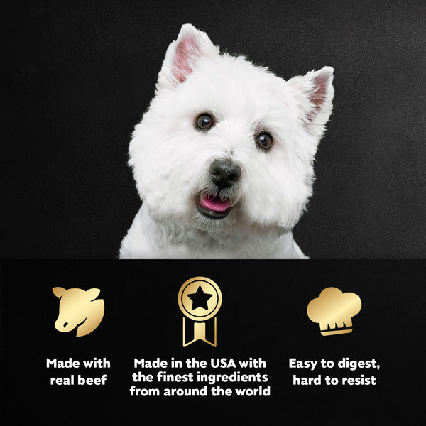 Cesar Filets in Gravy Wet Dog Food Variety Pack  DestGlow