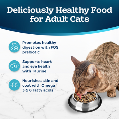 Blue Buffalo Tastefuls Sensitive Stomach Natural Adult Dry Cat Food, Chicken  DestGlow