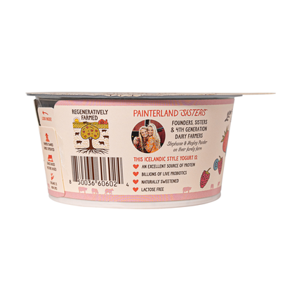 Painterland Sisters Meadow Berry Organic Skyr Yogurt