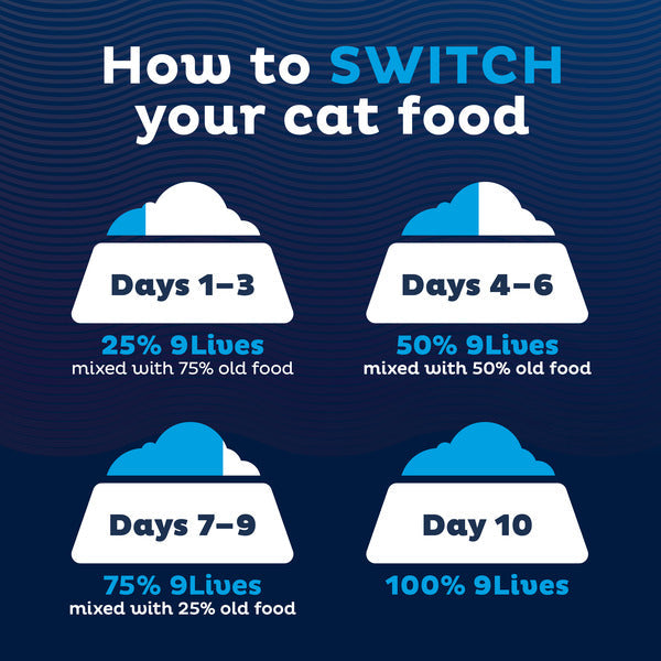 9Lives Daily Essentials Dry Cat Food for Adult Cats with Chicken, Beef &amp; Salmon Flavors, 12 lb. Bag  DestGlow